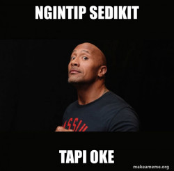 Dwayne Johnson (The Rock)