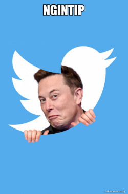 Elon Musk Twitter