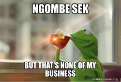 Kermit Drinking Tea
