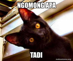 Overly Attached Cat