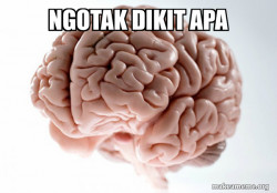 Scumbag Brain