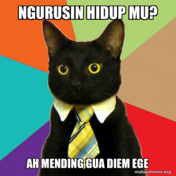 Business Cat