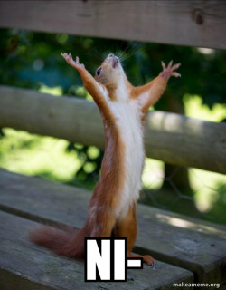 Happy Squirrel