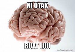 Scumbag Brain
