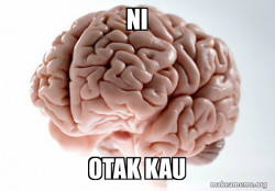 Scumbag Brain
