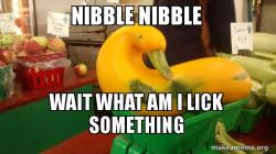 chicken