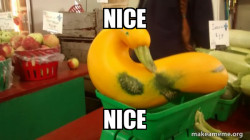 Gourd Advice Mallard