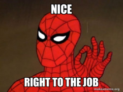 Spiderman - Care factor Zero