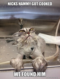 Cat Bath Returns
