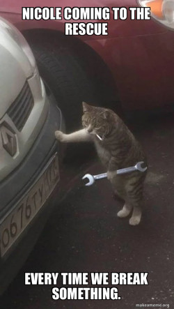 Mechanic Cat