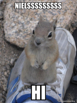 Standover Squirrel