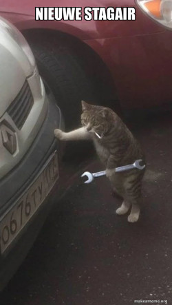 Mechanic Cat