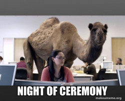 Hump Day Camel
