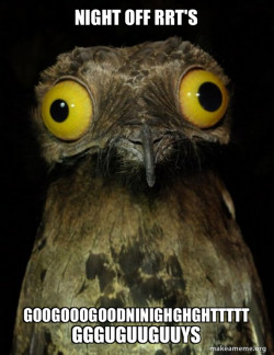 Weird Stuff I do Potoo