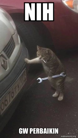 Mechanic Cat