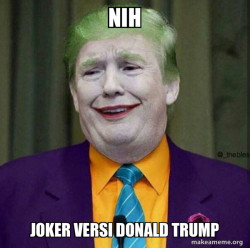 Donald Trump - The Joker