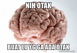 Scumbag Brain