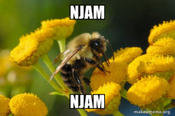 Good Guy Bee