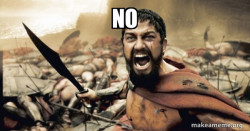 The 300