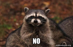Evil Plotting Raccoon