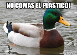 Actual Advice Mallard
