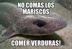 Dirty Joke Dogfish