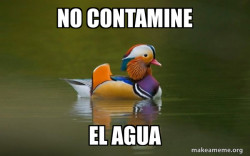 Fashionable Advice Mallard
