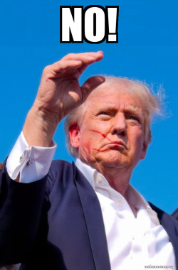 Trump Shot
