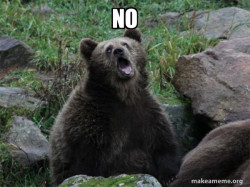 Sarcastic Bear