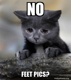 Confession Cat