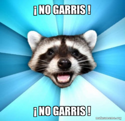 Lame Pun Coon