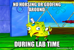 Mocking SpongeBob
