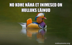 Fashionable Advice Mallard