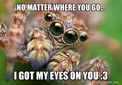 Hipster Spider