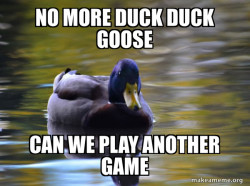 Zen Advice Mallard