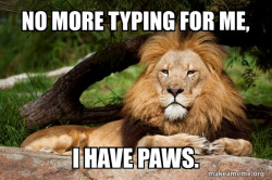 Contemplative Lion