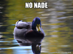 Zen Advice Mallard