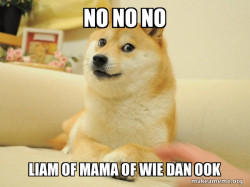 Doge