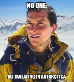 Bear Grylls