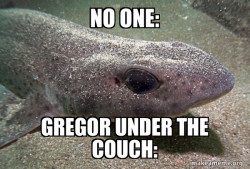 Dirty Joke Dogfish