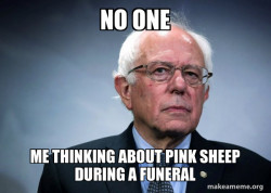 Bernie Sanders