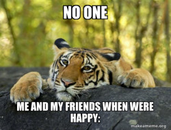 Confession Tiger