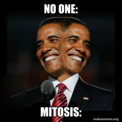 Two Faced Obama