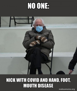 Bernie Sanders at the Inauguration