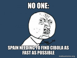 Y U No
