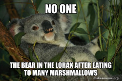 Laid Back Koala