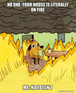 This Is Fine