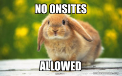 Regretful Rabbit