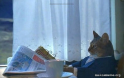 Sophisticated Cat