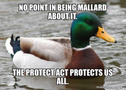 Actual Advice Mallard
